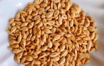 脆香小贝南瓜子