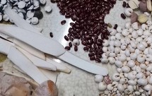 脾虚湿重、肠胃差：淮山芡实莲子薏米汤