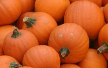 微波炉烤南瓜子