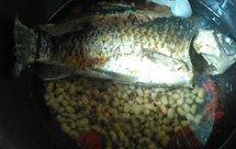鲫鱼眉豆汤