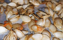 微波炉烤南瓜子