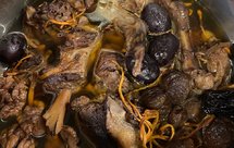 温岭特色养生鸭汤