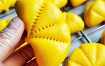 秋天里的银杏叶