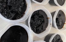 罗汉果菊花龟苓膏