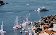 鸡肉洋葱番茄奶酪万能酱