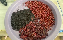 阿胶红豆腰豆黑米粥