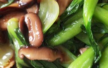 香菇油菜