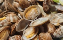 下酒菜：葱姜爆炒蛤蜊