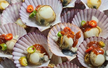 啤酒蒸扇贝快手下酒菜