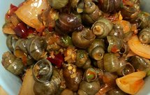 麻辣嗦螺［田螺］