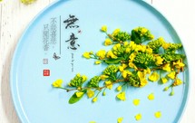 菜花创意拼盘（蔬果四季风）