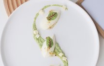 创意菜甜点摆盘【桂花山药慕斯配牛油果泥】