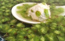 小小榆钱儿变大餐——春日特供低脂低卡创意菜:榆钱儿窝窝头，榆钱儿汤，榆钱儿饼，榆钱儿炒鸡蛋