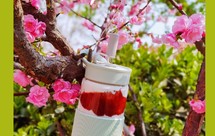 果酱酸奶西米露