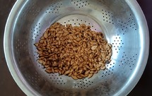 秋季的美味零嘴—炒南瓜籽