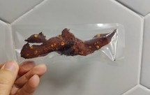 健身er的小零食（风干鸡胸肉）