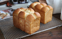 鲜奶液种超熟吐司