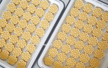 挑战极限绿豆糕-玛捷斯