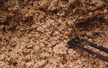 椒盐馅（月饼馅）