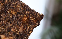 很香的种子脆饼，代替面粉，生酮期好零食