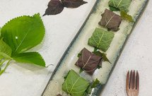 鳕鱼苏子叶饭团