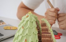 开心果巧克力圣诞树蛋糕