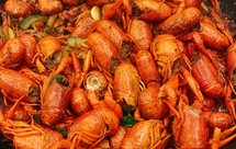 美味！！自制麻辣小龙虾