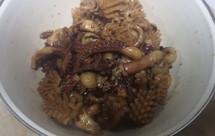 玉子的深夜食堂之卤卤卤—超长图文版