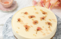 【情人节特辑】免烤箱！日式樱花芝士蛋糕