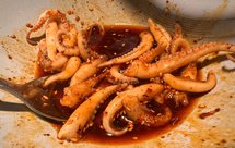 夏日宵夜：八爪鱼麻辣拌