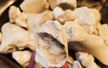 熊熊白白-20磅猪骨炖一碗的 高钙/补钙/胶原蛋白美容 之 猪骨汤！