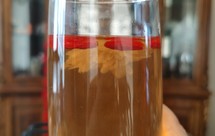 清肝明目、祛热清火、降压降脂、润肠排毒、美容养颜的万能茶饮：菊花枸杞茶