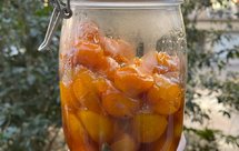 止咳润肺的冰糖金桔膏