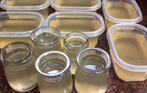 海底椰茅根甘蔗雪梨膏