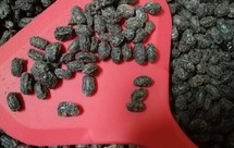 【霜糖黑豆】小孩大人都爱吃的健康自制小零食