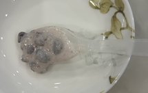 红豆酸奶｜健康·零食