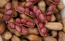 零失败下酒花生米