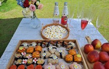 踏青野餐颜值担当的寿司