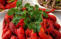 碳水蛋白补充 金枪鱼玉米日式饭团 减脂便当