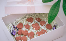 情人节红色印花曲奇饼干