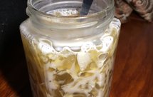 清热润燥—海底椰菊花雪梨膏