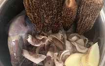 羊肚菌海底椰煲乌鸡汤：广东人最爱喝滋阴润肺，除燥清热养生靓汤