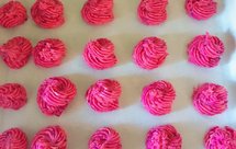 好吃的火龙果曲奇饼干-儿童大人都喜欢