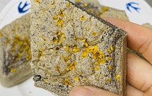 桂花黑米糕 好吃的蒸蛋糕 松软有弹性 益气补血 暖胃健脾