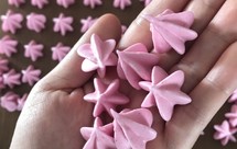 百分之九十九成功的专业版火龙果溶豆做法附蛋白霜打发视频