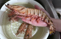 海派干烧大明虾