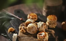 花椒肉粒司康（天然酵母版）