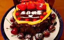 巧克力淋面树桩蛋糕