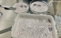 椰汁香芋西米露