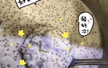 椰香香芋西米露